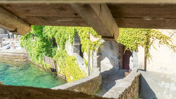 A stone bridge with ivy over a body of water.