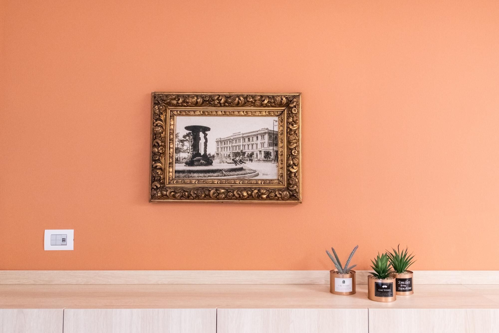 A framed black and white photograph of a fountain and building on an orange wall, with two potted plants on a wooden surface below.