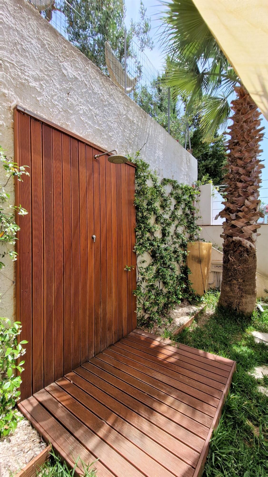 A wooden door with a metal handle, a wooden deck, and a wall with climbing plants.