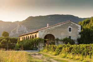 Apartment - Noci Apartment With two Bedrooms and one Bathroom on the First Floor Apartment 3 (Longare)