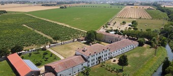 Tigli Apartment With two Bedrooms and one Bathroom on the Second Floor With 4 Metre Glass Window Apartment 6