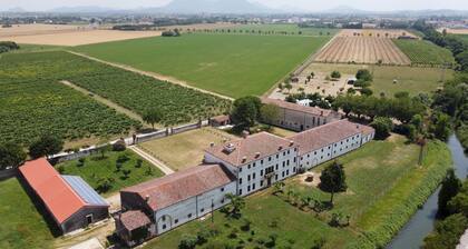 Tigli Apartment With two Bedrooms and one Bathroom on the Second Floor With 4 Metre Glass Window Apartment 6