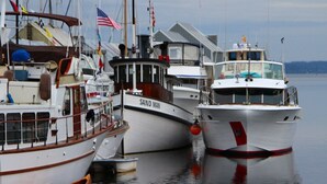A marina with several boats docked, including a white boat named "SAND MAN". - Rustic, pet-friendly Olympia cottage on wooded acres with patio, fire pit, and modern comforts (Olympia)