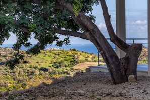 Appartamento | 1 camera