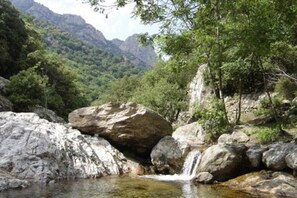 Paisaje natural con cascada, terreno rocoso y bosque denso.