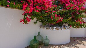 A white wall with a potted plant and two green glass bottles. - Casa de Juanito Viñuela by Ruralidays (Málaga)