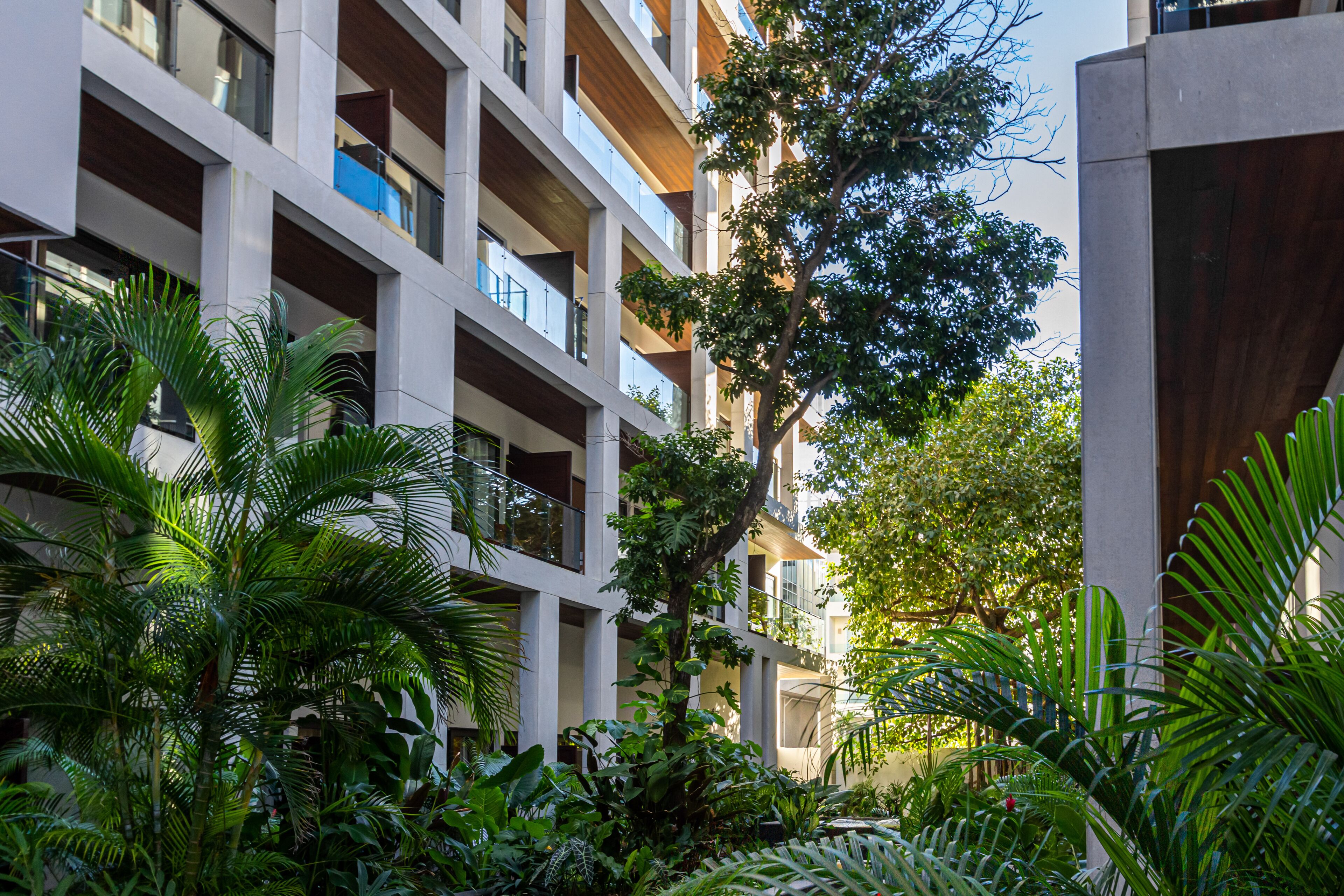 Un immeuble à plusieurs étages doté de balcons et d’une végétation luxuriante.