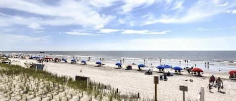 Beach nearby, sun loungers