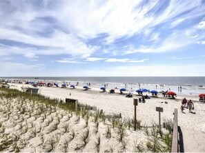 ビーチの近く、サンラウンジャー