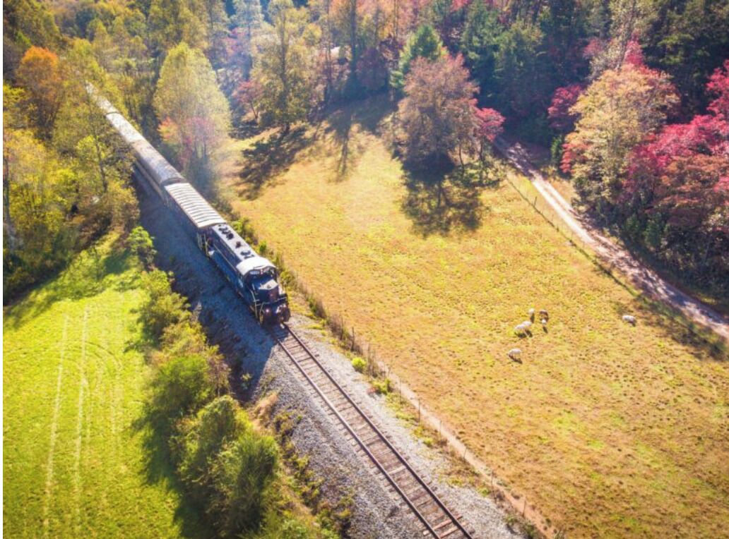 Een trein rijdt door een landelijk gebied met een combinatie van groene en herfstkleurige bomen.