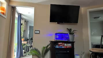 Smart TV, books, stereo, printers