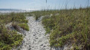 Ein sandiger Pfad führt zum Strand, umgeben von Gras und Vegetation.