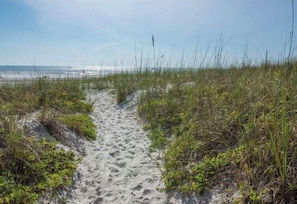 En sandsti, der fører ned til stranden, omgivet af græs og vegetation.