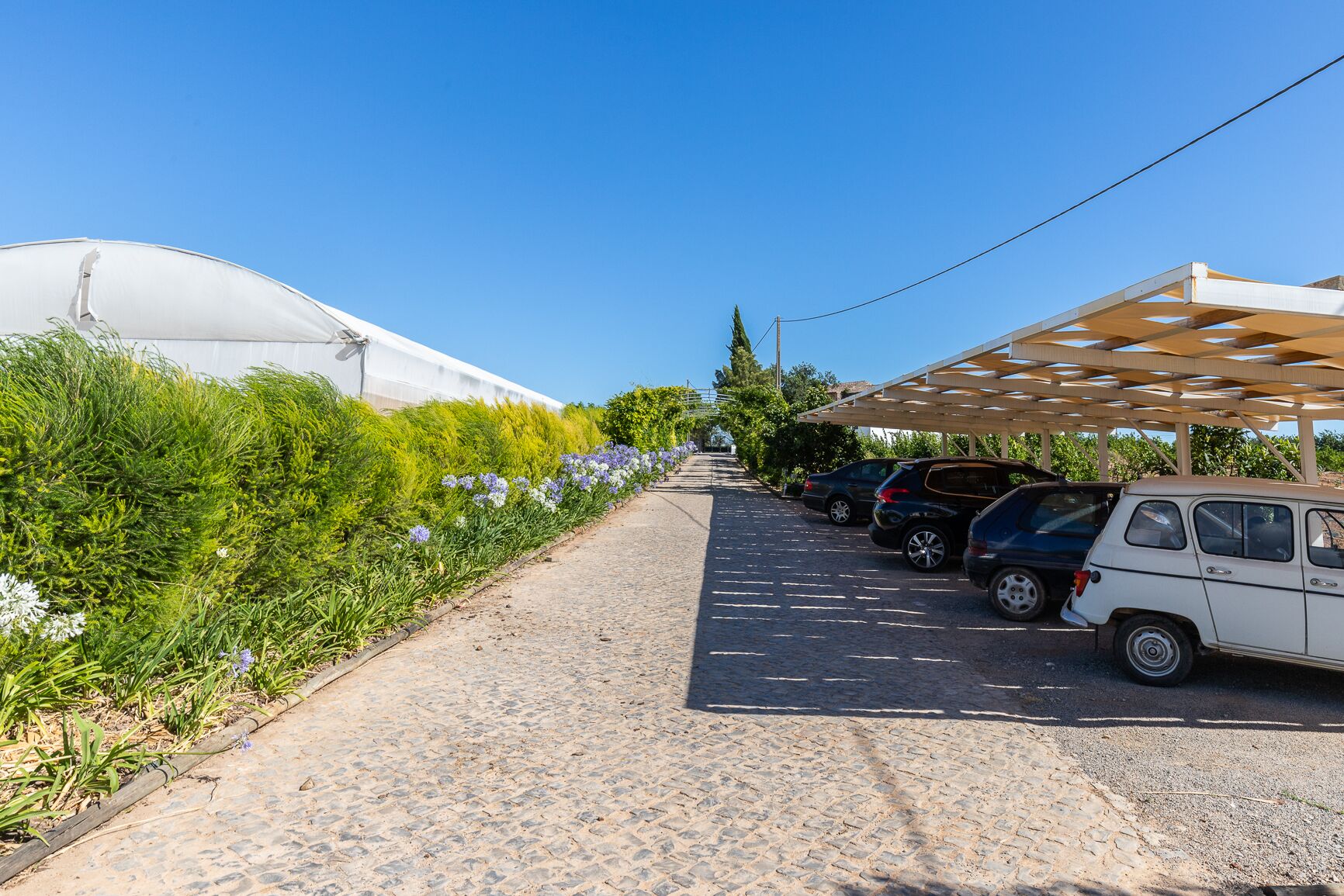 Foto - Quinta da Capelinha Agroturismo