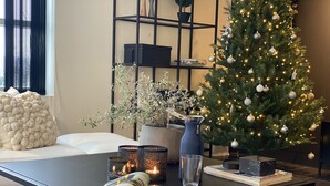 Un salon moderne avec une table basse noire, une plante en pot, un sapin de Noël et une bibliothèque.
