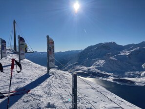 Lumi- ja hiihtourheilulajit