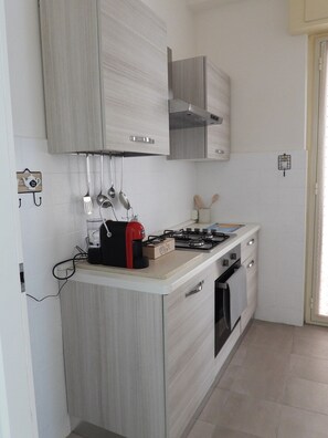 Fridge, microwave, oven, stovetop - Apartment large horizon Etna  (catania)