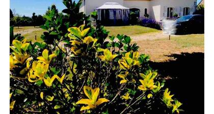 Huge 320m2 villa 1h10 from Paris. 4300m2 garden