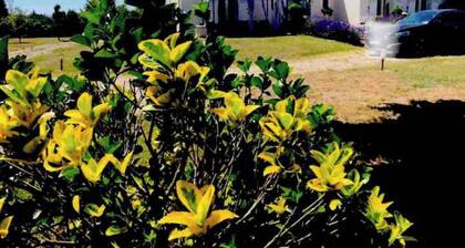 Immense villa de 320m2 a 1h10 de Paris. Jardin de 4300m2