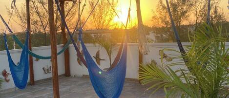 A rooftop patio with a wooden pergola, two hammocks, and a potted plant.