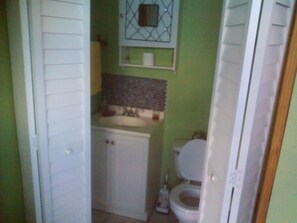 Combined shower/tub, soap, shampoo, toilet paper