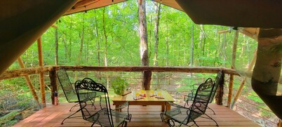 GLAMPING IN THE SMOKIES--PRIVATE 5 acres--LAKE ACCESS....See you in April 2026. 