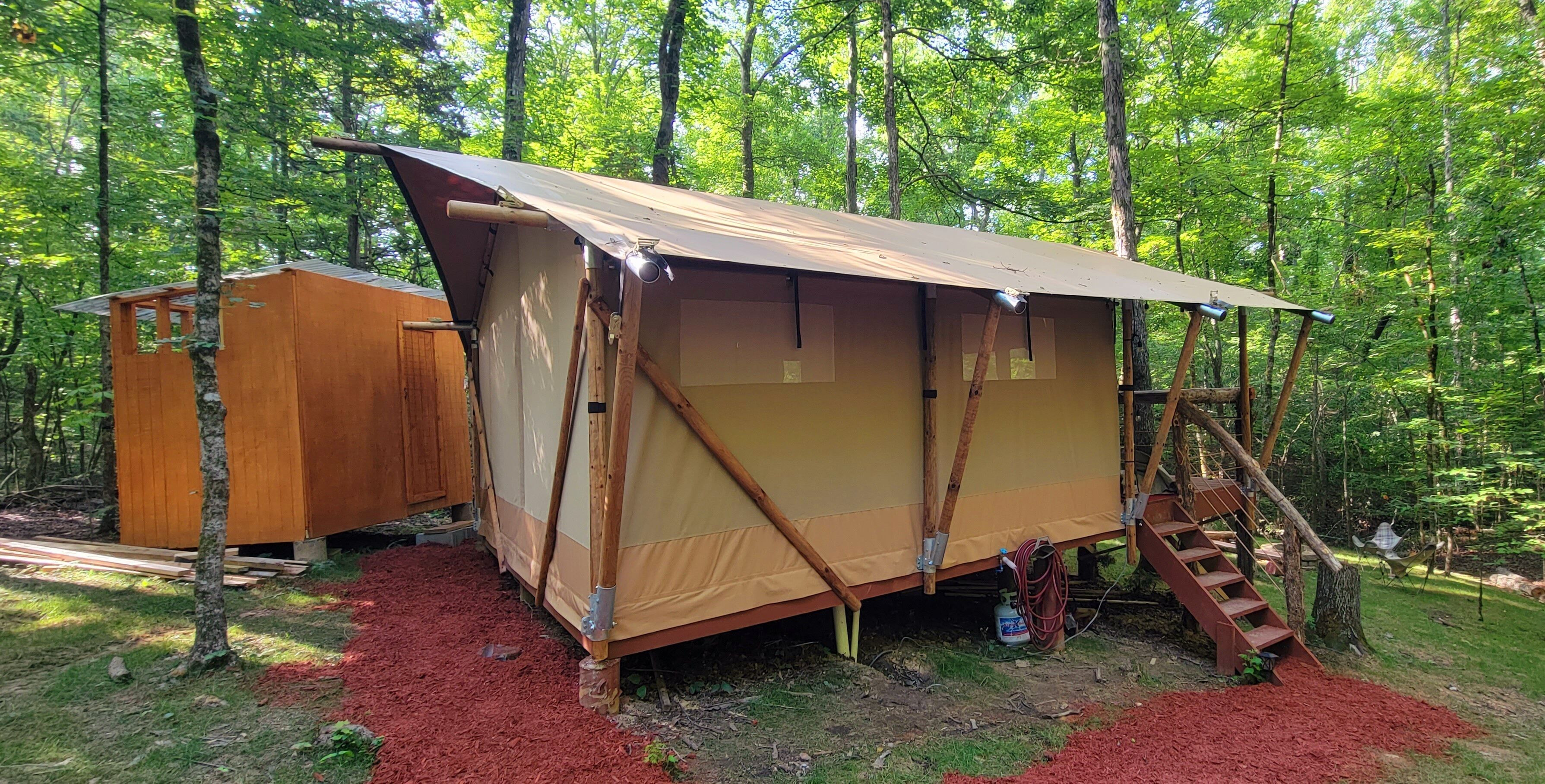 A tent with a wooden structure and a ladder, set in a forested area.