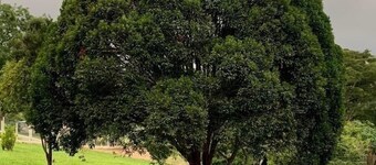 Fantastic swimming pool 