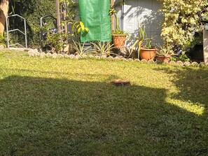 Dettaglio esterni