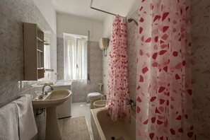 Combined shower/tub, hair dryer, bidet, towels