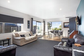 TV, fireplace, DVD player, books