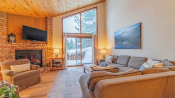 Smart TV, fireplace, books