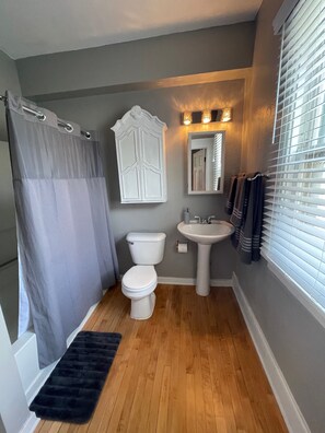 Combined shower/bathtub, hair dryer, towels, soap - Great Location! Fresh decor (Milwaukee)
