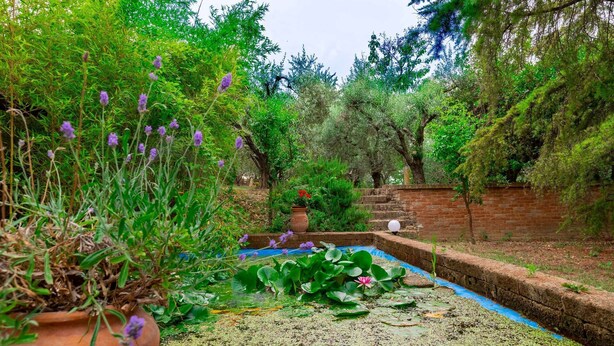 A garden with a pond, surrounded by various plants and trees. - Villa Rosso Corbezzolo (Carassai)