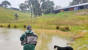 A person fishing by a pond with a dog nearby. - Beautifully appointed Tiny House. (Goughs Bay)