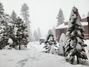 A snowy landscape with snow-covered trees and a building in the background. - Location! Walk to Canyon Lodge! Mammoth Ski & Racquet Club (Mammoth Lakes)