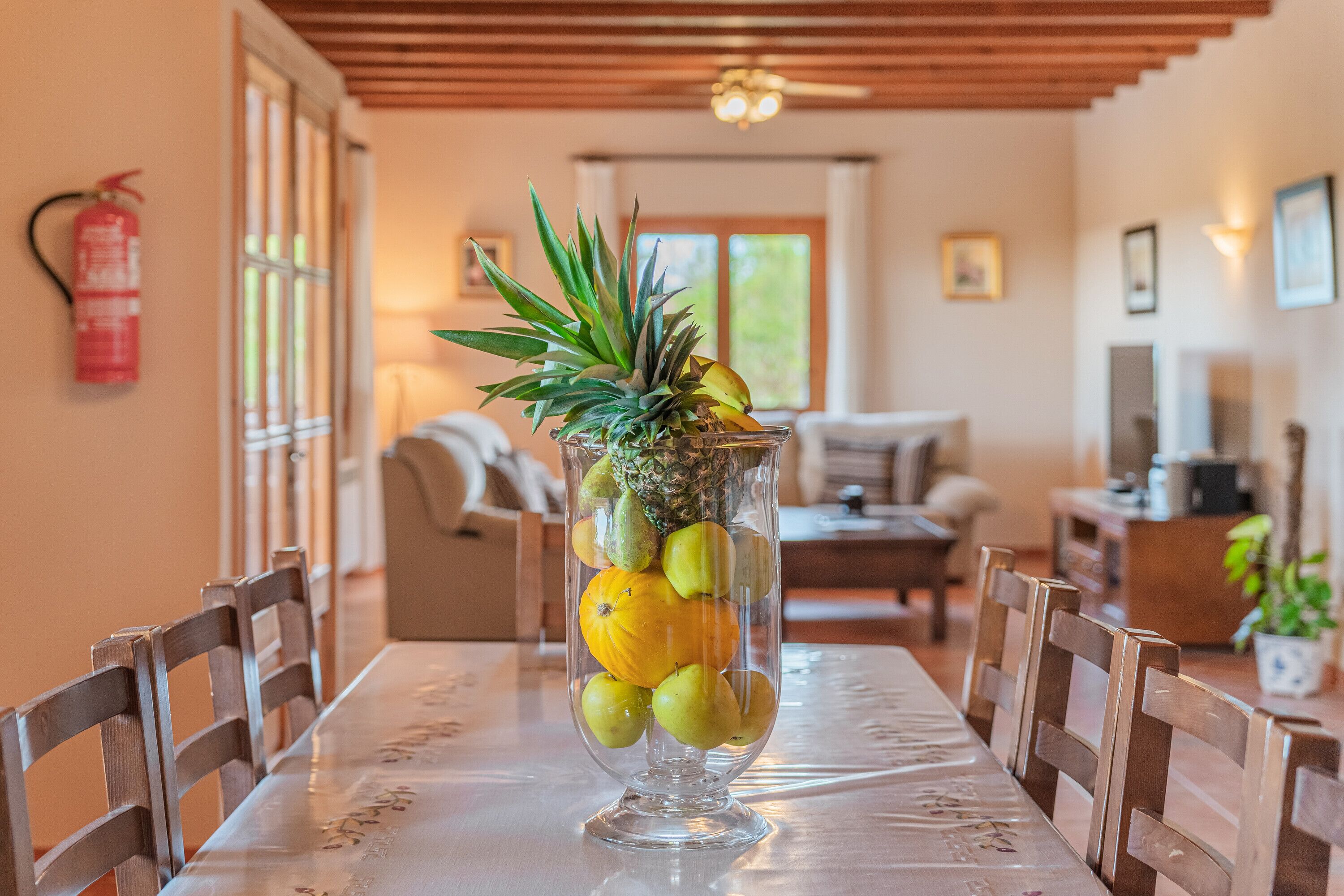 TV, DVD player, ping pong, stereo