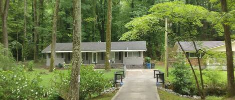 A pathway leading to a building surrounded by trees and greenery.