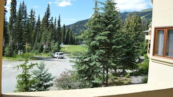 Guests can enjoy a serene view of lush greenery and distant mountains from the comfort of their room.