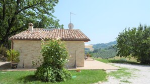 A small brick house with a tiled roof, a satellite dish, and a garden with a bush and a potted plant.