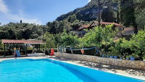 Une piscine bordée d’un mur en pierre et agrémentée de plantes en pot, entourée d’arbres et de maisons.
