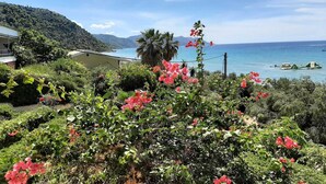 Un jardin luxuriant, parsemé de fleurs roses éclatantes, avec une vue sur la mer et une montagne en arrière-plan.