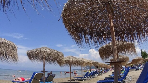 A beach with rows of blue lounge chairs and thatched umbrellas.