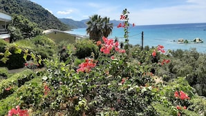 A lush garden with vibrant flowers and a view of the sea and mountains in the background.