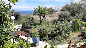 Un patio con un banco y una planta en maceta, rodeado de exuberante vegetación y vistas al mar.