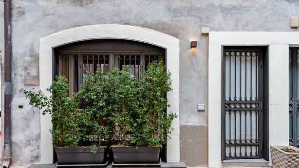 Fachada de edificio con un amplio ventanal arqueado, una reja de metal negro y dos macetas con plantas.