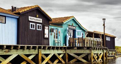Gemütliche 2-Zimmer-Wohnung 600m vom Strand in Dolus-d'Oléron entfernt