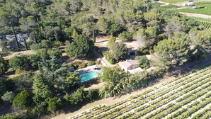 Vue aérienne d’un vignoble avec des rangées de vignes, une piscine et quelques bâtiments.