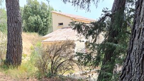 Un chemin de pierres menant à un bâtiment dont le toit est recouvert de tuiles.
