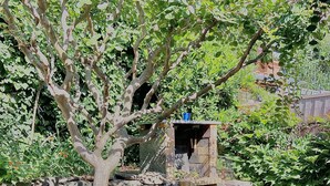 A stone wall with a small wooden structure, possibly a shed, surrounded by greenery and a tree. - Charming, bright house 10 minutes from the village center (Collioure)